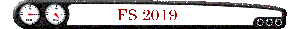 FS 2019