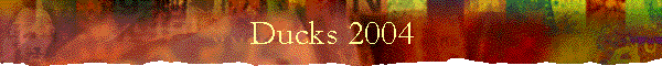 Ducks 2004