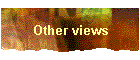 Other views