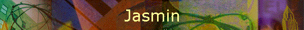 Jasmin