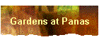 Gardens at Panas