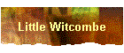 Little Witcombe