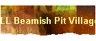 LL Beamish Pit Village