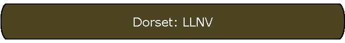 Dorset: LLNV