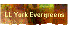 LL York Evergreens