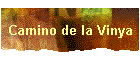 Camino de la Vinya