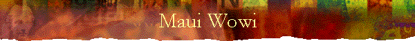 Maui Wowi