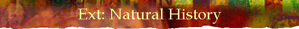 Ext: Natural History