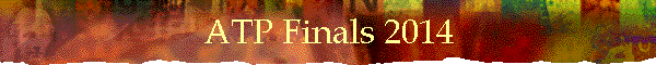 ATP Finals 2014