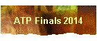 ATP Finals 2014