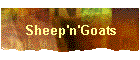 Sheep'n'Goats