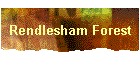 Rendlesham Forest