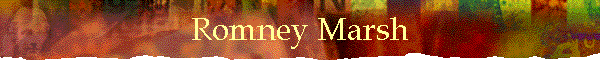 Romney Marsh