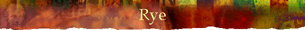 Rye