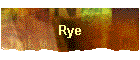 Rye