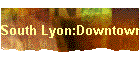 South Lyon:Downtown