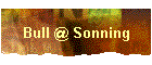 Bull @ Sonning