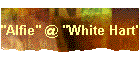 "Alfie" @ "White Hart"