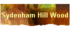 Sydenham Hill Wood